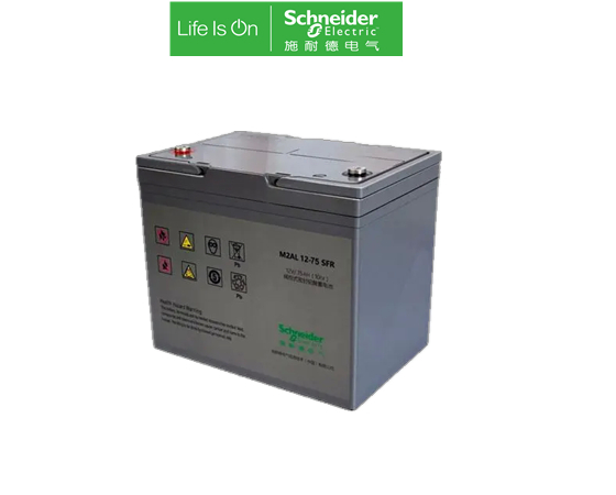 Schneider M2AL12-80CFR